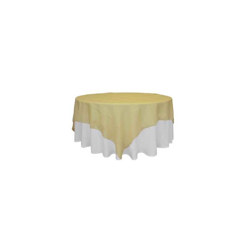 COPRIMACCHIA ORGANZA 220X220 VARI COLORI