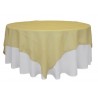 COPRIMACCHIA ORGANZA 220X220 VARI COLORI