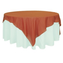 COPRIMACCHIA ORGANZA 220X220 VARI COLORI
