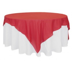 COPRIMACCHIA ORGANZA 220X220 VARI COLORI